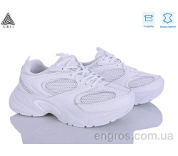 Кроссовки STILLI Group